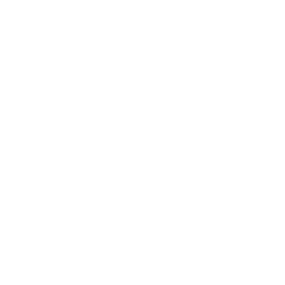 Consulting & Strategy